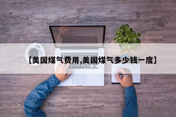 【美国煤气费用,美国煤气多少钱一度】