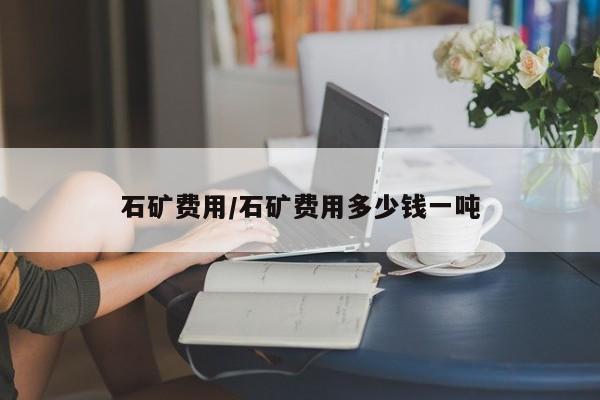 石矿费用/石矿费用多少钱一吨
