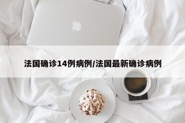 法国确诊14例病例/法国最新确诊病例