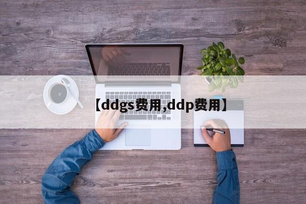【ddgs费用,ddp费用】