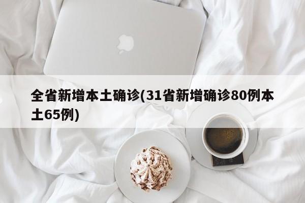 全省新增本土确诊(31省新增确诊80例本土65例)