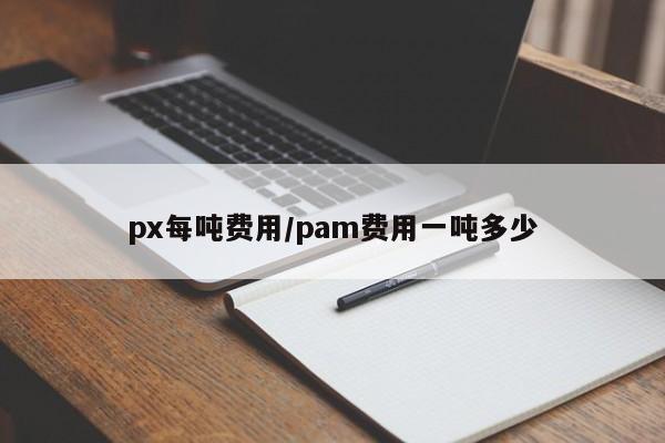 px每吨费用/pam费用一吨多少