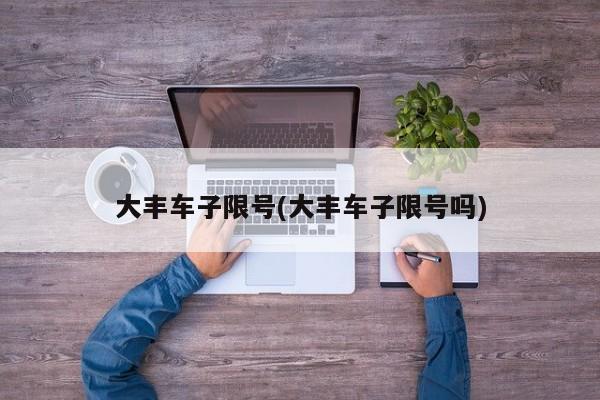 大丰车子限号(大丰车子限号吗)
